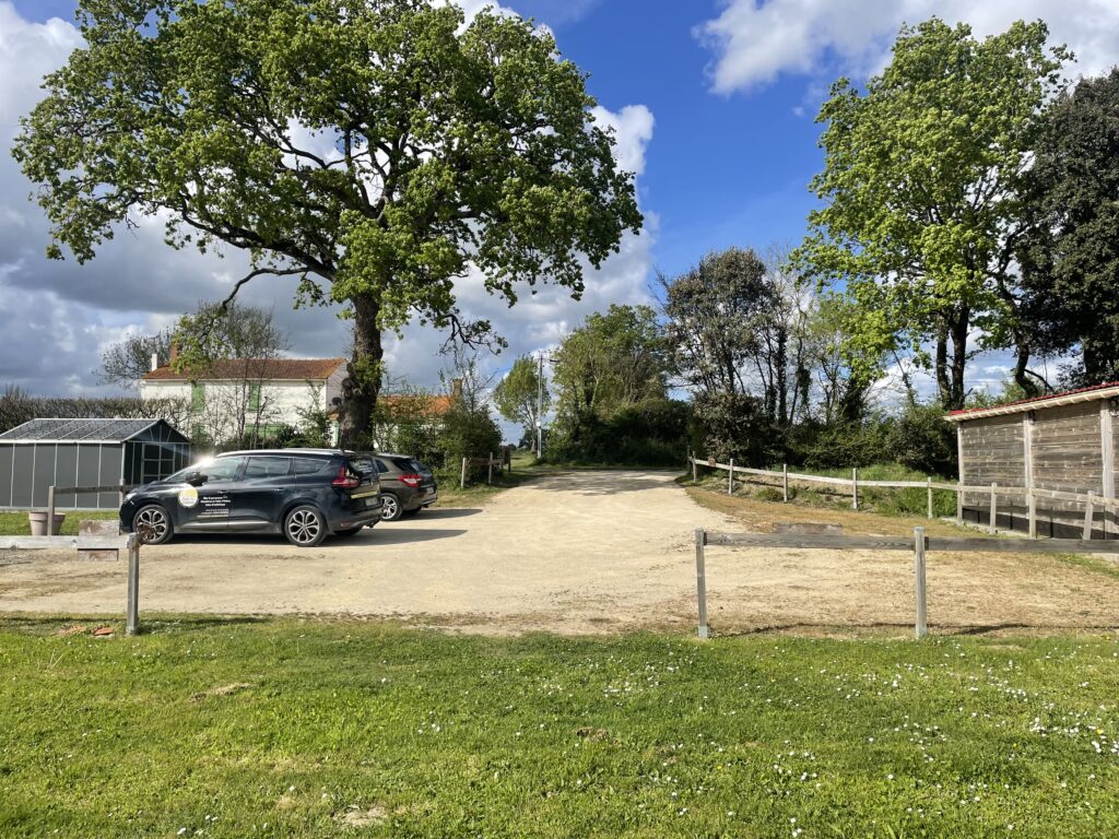 parking 1